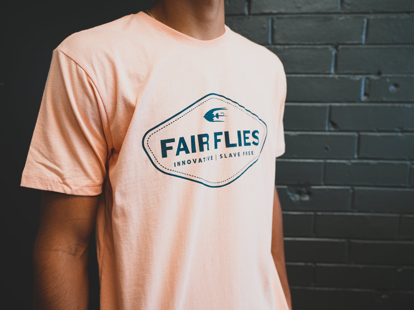 Fair Flies Shield Short-Sleeve Tee